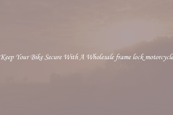 Keep Your Bike Secure With A Wholesale frame lock motorcycle
