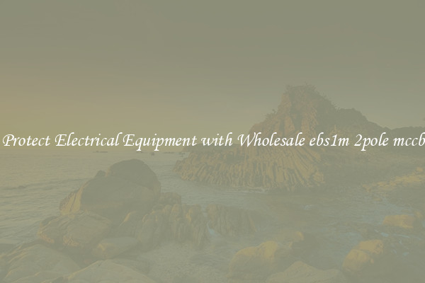 Protect Electrical Equipment with Wholesale ebs1m 2pole mccb