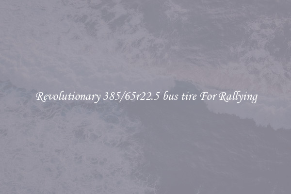 Revolutionary 385/65r22.5 bus tire For Rallying