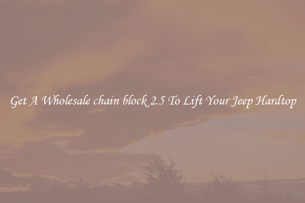 Get A Wholesale chain block 2.5 To Lift Your Jeep Hardtop