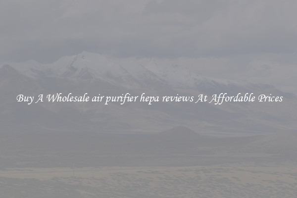Buy A Wholesale air purifier hepa reviews At Affordable Prices