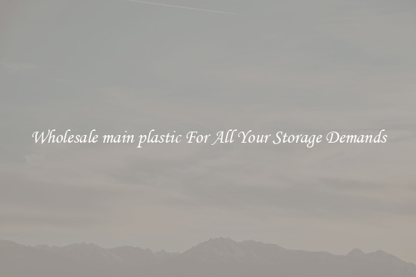 Wholesale main plastic For All Your Storage Demands