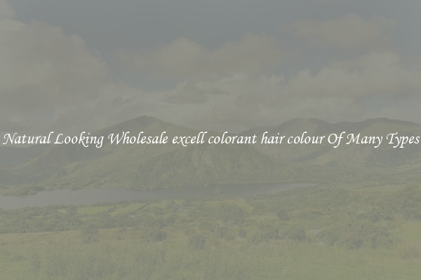 Natural Looking Wholesale excell colorant hair colour Of Many Types