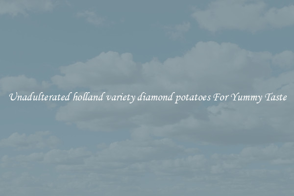 Unadulterated holland variety diamond potatoes For Yummy Taste