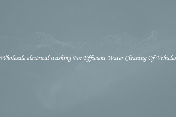 Wholesale electrical washing For Efficient Water Cleaning Of Vehicles