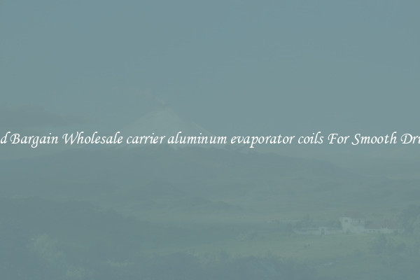 Good Bargain Wholesale carrier aluminum evaporator coils For Smooth Driving