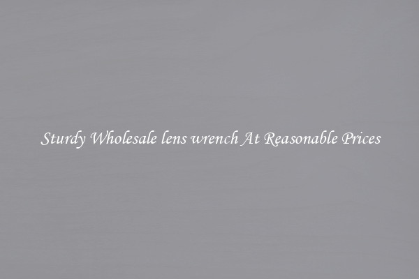 Sturdy Wholesale lens wrench At Reasonable Prices