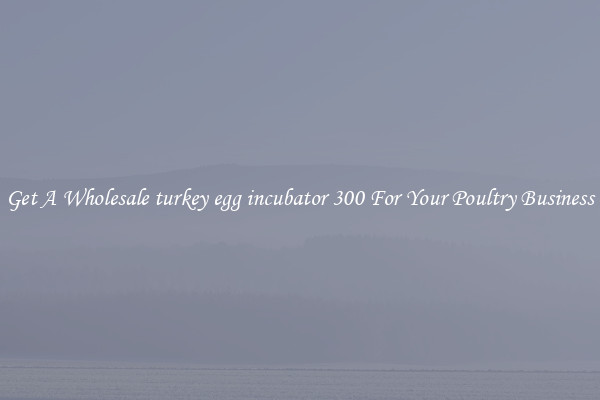 Get A Wholesale turkey egg incubator 300 For Your Poultry Business