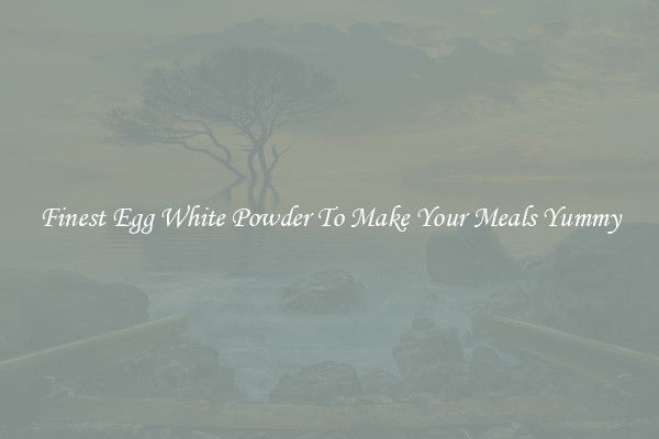 Finest Egg White Powder To Make Your Meals Yummy