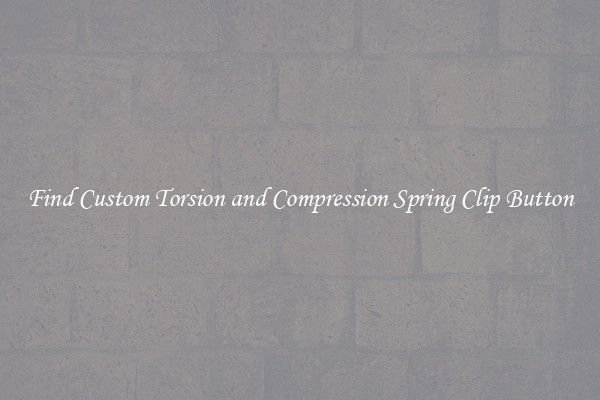 Find Custom Torsion and Compression Spring Clip Button