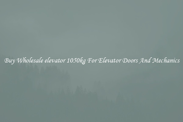 Buy Wholesale elevator 1050kg For Elevator Doors And Mechanics