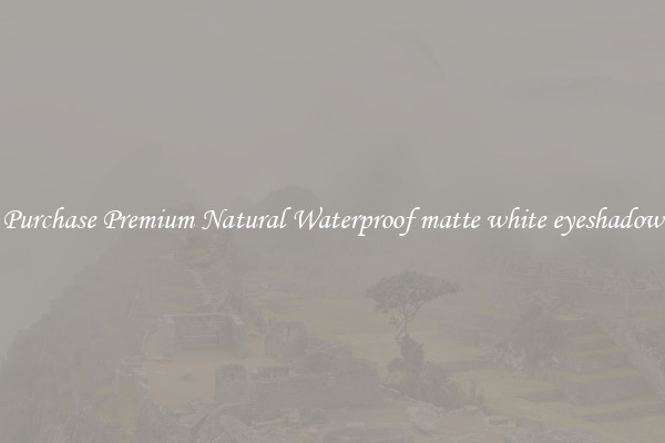 Purchase Premium Natural Waterproof matte white eyeshadow