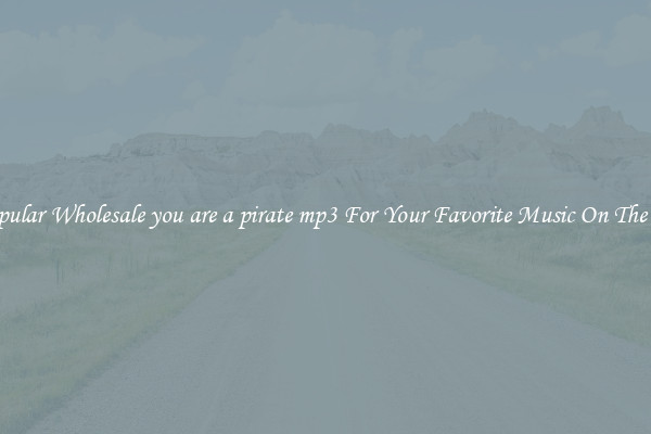 Popular Wholesale you are a pirate mp3 For Your Favorite Music On The Go