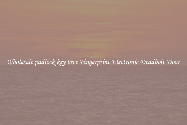 Wholesale padlock key love Fingerprint Electronic Deadbolt Door 