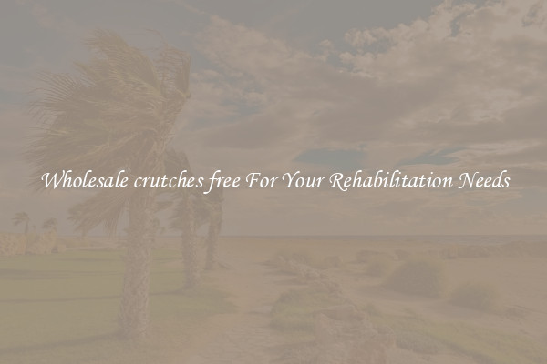 Wholesale crutches free For Your Rehabilitation Needs