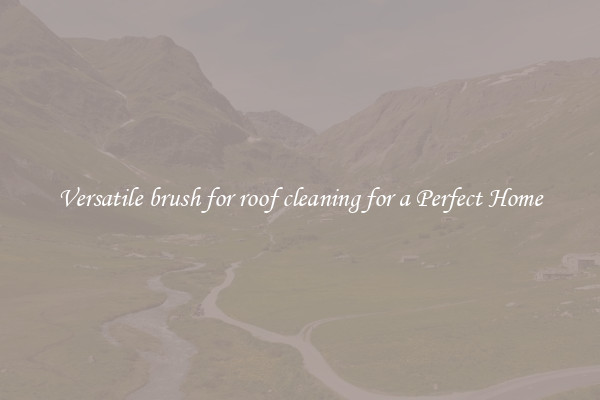Versatile brush for roof cleaning for a Perfect Home