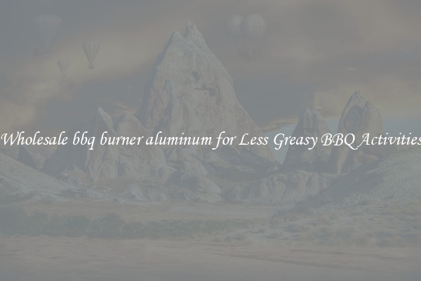 Wholesale bbq burner aluminum for Less Greasy BBQ Activities